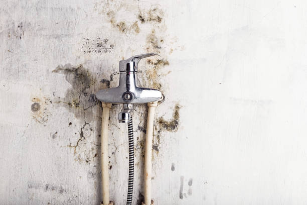 Best Post-Flood Mold Remediation in Glendora, NJ