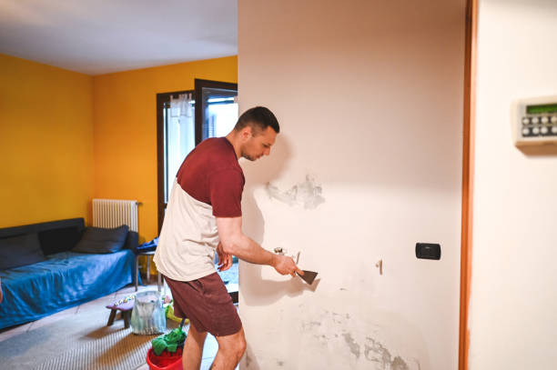 Best Crawl Space Mold Remediation in Glendora, NJ